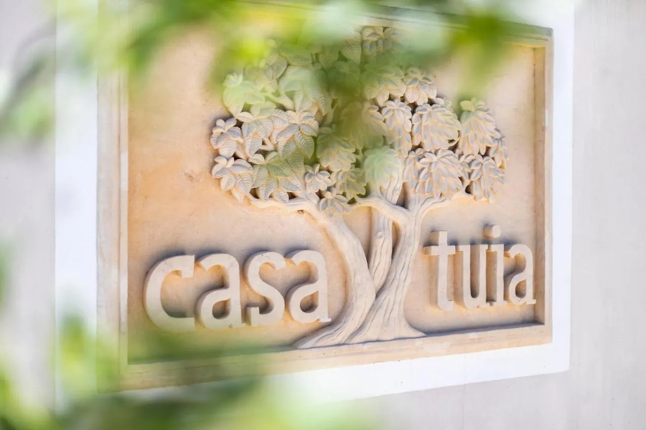 Casa Tuia Resort Carvoeiro  Carvoeiro (Lagoa)